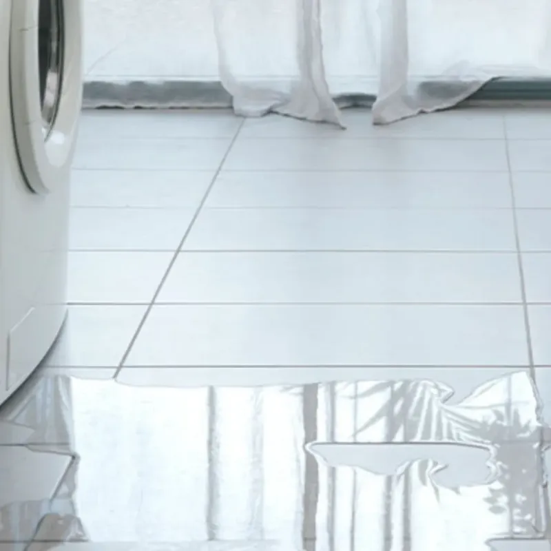 Appliance Leak Cleanup in Hamilton City, CA