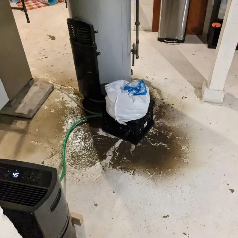 Sewage Backup Cleanup Service in Hamilton City, CA